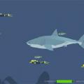 More information about "Mad Shark (flash game)"
