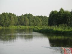 река Щара