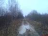 1342_DSC00893_thumb.JPG