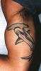 1390_101_thumb.jpg