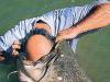 1632_662942_20040620113036_thumb.jpeg