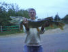 1632_DSC00001_thumb.gif