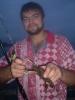 1645_spider_crabs_thumb.jpg