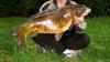 1653_karp_14_kg_thumb.jpg