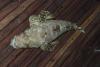 40_DSCF6302.jpg