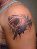 4_DSC00065_thumb.jpg