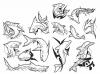 5_Tatoo1.jpg