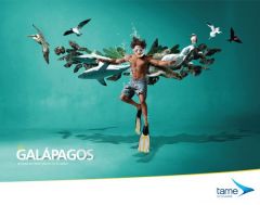 Креативная реклама Эквадора