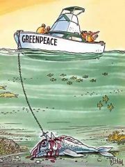 Med Greenpeace