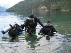 Alberta diving