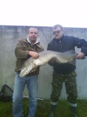 More information about "pike 19kg"