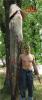 post-2244-079699900 1293977106_thumb.jpg