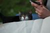 post-2614-038393400 1326231903_thumb.jpg