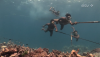 Vanishing_World_of_the_Sea_Gypsies_2014_2.png