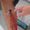post-2185-0-93734900-1360008811_thumb.jpg