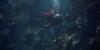 underwater_3.jpg