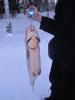 amur_15850_paha_3.jpg