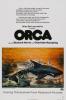 killer_whale_1.jpg