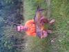 post-2317-0-08787200-1405969476_thumb.jpg