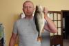 perch_1690_bocman_5.jpg