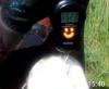 post-10512-0-27159500-1469800552_thumb.jpg