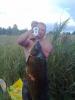 karp_15690_zam_1.jpg