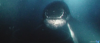meg2.png