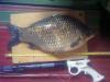 crucian_3000_zam_4.jpg