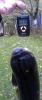 amur_6930_megamass_2.jpg