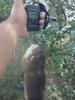 post-4708-0-31231500-1441364848_thumb.jpg