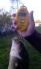 post-2729-028562000 1318942985_thumb.jpeg