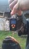 amur_9140_megamass_2.jpg
