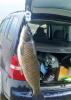 zam_30092012337.jpg