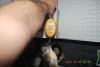 post-2729-0-87175400-1351523204_thumb.jpg