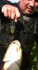 post-2052-0-04159700-1381299792_thumb.jpg