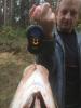 post-10822-0-80634800-1506935917_thumb.jpg