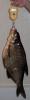 lesch_3070_michalich_2.jpg