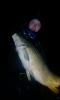 post-10512-0-43303000-1480257523_thumb.jpg