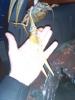 post-2919-0-39058400-1386707431_thumb.jpg