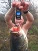 post-3668-0-47893200-1386002342_thumb.jpg