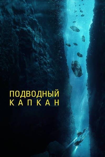 the_dive_2023.jpg
